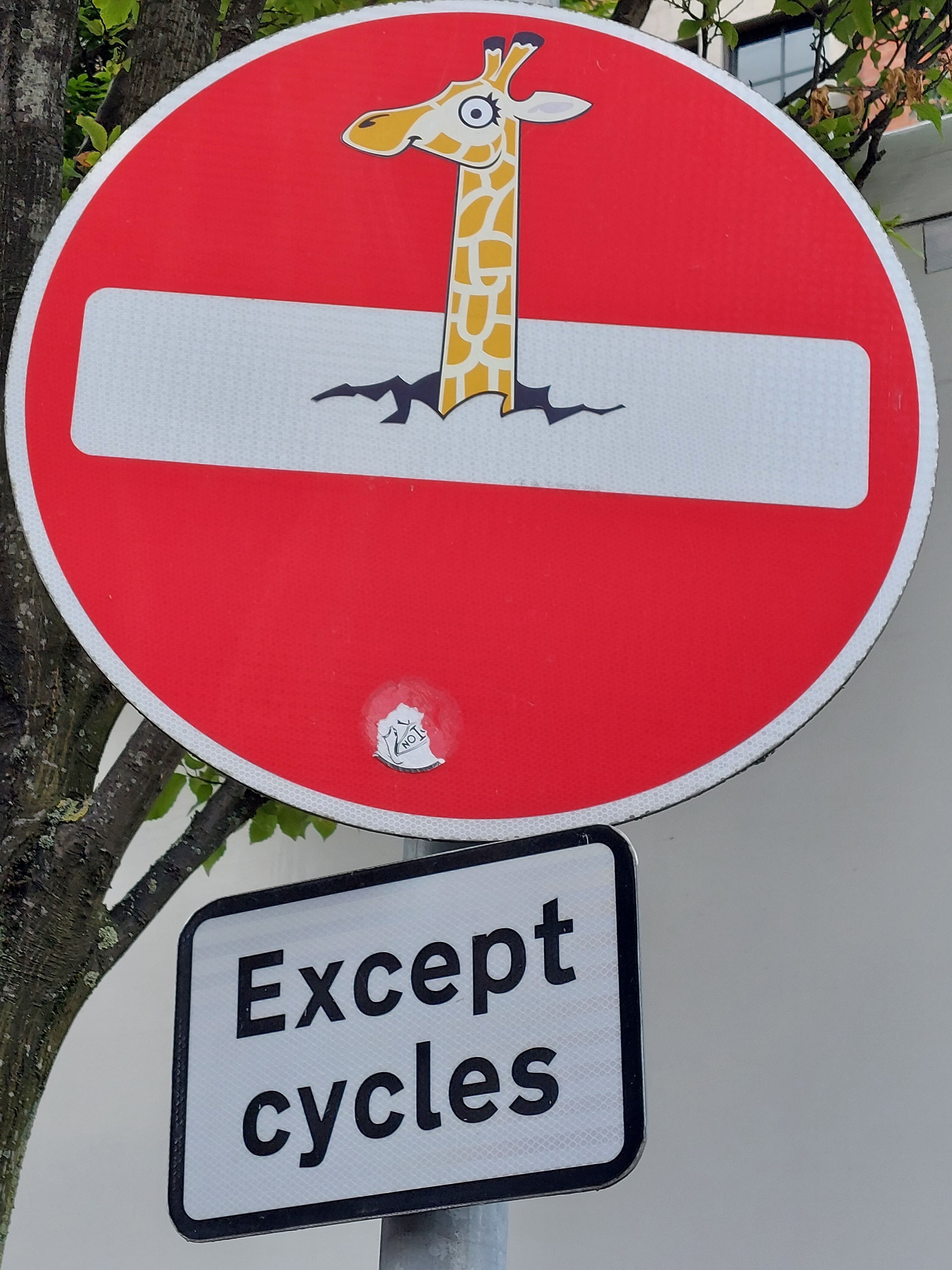 Belfast graffiti
