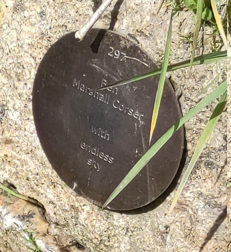 plaque